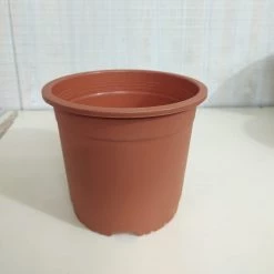 CGASPL Pot-Planters 9" Flower Pot Terracotta Colour Sunrise Series (22 Cm)( Pack Of 6)