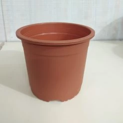 CGASPL 9" Flower Pot Terracotta Colour Sunrise Series (22 Cm)( Pack Of 12) Pot-Planters
