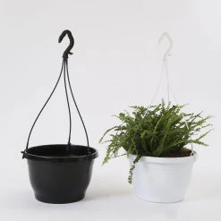 CGASPL Pot-Planters 10 Inch Hanging Pot Black 11 CGASPL Pot-Planters 10 Inch Hanging Pot Black