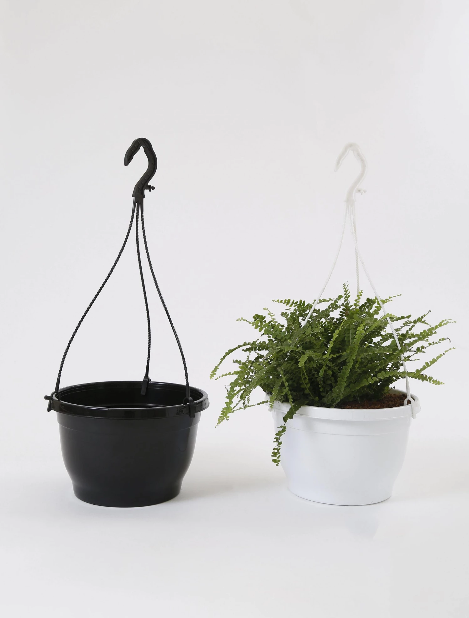 CGASPL Pot-Planters 10 Inch Hanging Pot Black 6 CGASPL Pot-Planters 10 Inch Hanging Pot Black