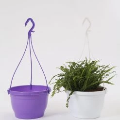 CGASPL 10 Inch Hanging Pot Violet Pot-Planters