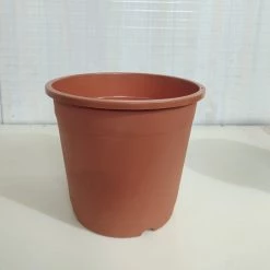 CGASPL 10" Flower Pot Terracotta Colour Sunrise Series (26 Cm)