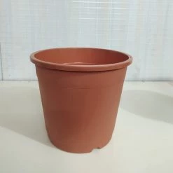 CGASPL Pot-Planters 10" Flower Pot Terracotta Colour Sunrise Series (26 Cm) ( Pack Of 12)