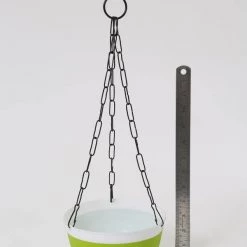 CGASPL 16 Cm Double Color Hanging Pot (Green) 8 CGASPL 16 Cm Double Color Hanging Pot (Green)