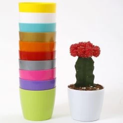 CGASPL Pot-Planters 3.5 Inch Multi Singapore Pot (Pack Of 12) (90mm)