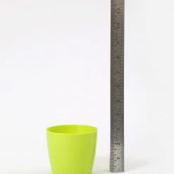 CGASPL Pot-Planters 3.5 Inch Green Singapore Pot (90mm)