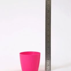 CGASPL 3.5 Inch Pink Singapore Pot (90mm) Pot-Planters