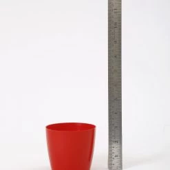 CGASPL Pot-Planters 3.5 Inch Red Singapore Pot (90mm) 12 CGASPL Pot-Planters 3.5 Inch Red Singapore Pot (90mm)