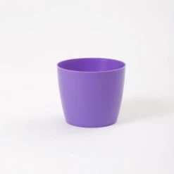 CGASPL 3.5 Inch Violet Singapore Pot (90mm)
