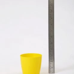 CGASPL 3.5 Inch Yellow Singapore Pot (90mm) Pot-Planters 12 CGASPL 3.5 Inch Yellow Singapore Pot (90mm) Pot-Planters