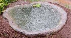 CGASPL Pot-Planters Jumbo Kidney Pond 300 Liters 3 CGASPL Pot-Planters Jumbo Kidney Pond 300 Liters