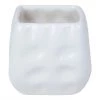 CGASPL Ceramic Mini Square Planter White (Pack Of 6) 2 CGASPL Ceramic Mini Square Planter White (Pack Of 6)