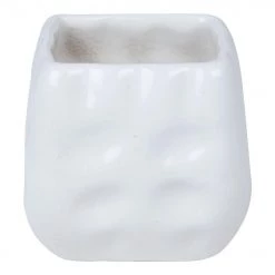 CGASPL Ceramic Mini Square Planter White (Pack Of 6)