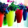 CGASPL High Quality Plastic Balcony Railing Planter (Red-Green-Blue-White Combos) (Pack Of 4) Pot-Planters 1 CGASPL High Quality Plastic Balcony Railing Planter (Red-Green-Blue-White Combos) (Pack Of 4) Pot-Planters