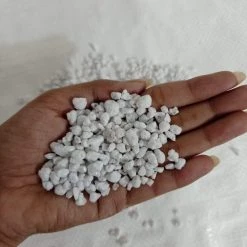 CGASPL Plant Food 10 Kg Horticulture Grade Perlite Potting Medium