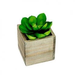 CGASPL Square Wooden Planter ( Pack Of 4 ) Pot-Planters