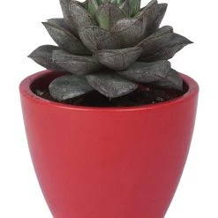 CGASPL Pot-Planters Round Dew Ceramic Pot, Red (Pack Of 3) 7 CGASPL Pot-Planters Round Dew Ceramic Pot, Red (Pack Of 3)
