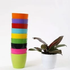 CGASPL 4 Inch Multi Singapore Pot (Pack Of 12) (105mm) Pot-Planters