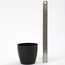 CGASPL 4 Inch Black Singapore Pot (105mm) Pot-Planters