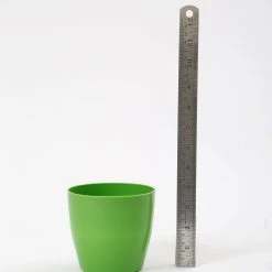 CGASPL 4 Inch Green Singapore Pot (105mm) 12 CGASPL 4 Inch Green Singapore Pot (105mm)