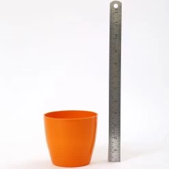 CGASPL Pot-Planters 4 Inch Orange Singapore Pot (105mm)