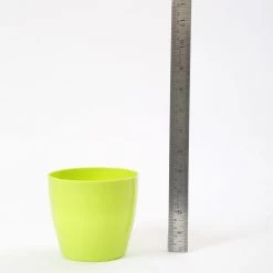 CGASPL 4 Inch Parrot Green Singapore Pot (105mm) Pot-Planters
