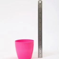 CGASPL 4 Inch Pink Singapore Pot (105mm)