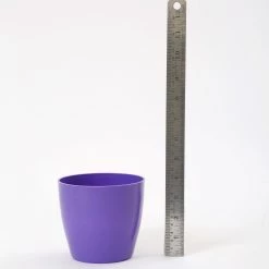 CGASPL 4 Inch Violet Singapore Pot (105mm) 12 CGASPL 4 Inch Violet Singapore Pot (105mm)