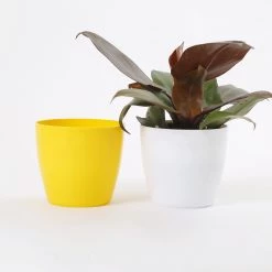 CGASPL Pot-Planters 4 Inch Yellow Singapore Pot (105mm)