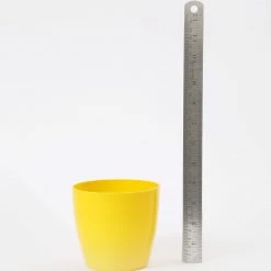 CGASPL Pot-Planters 4 Inch Yellow Singapore Pot (105mm)