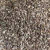 CGASPL Moringa Oliefera PKM2 Seeds For Cultivation/Plantation 1 Kg.