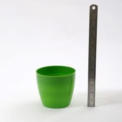 CGASPL 5 Inch Green Singapore Pot (125mm)