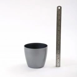 CGASPL 5 Inch Gray Singapore Pot (125mm) Pot-Planters