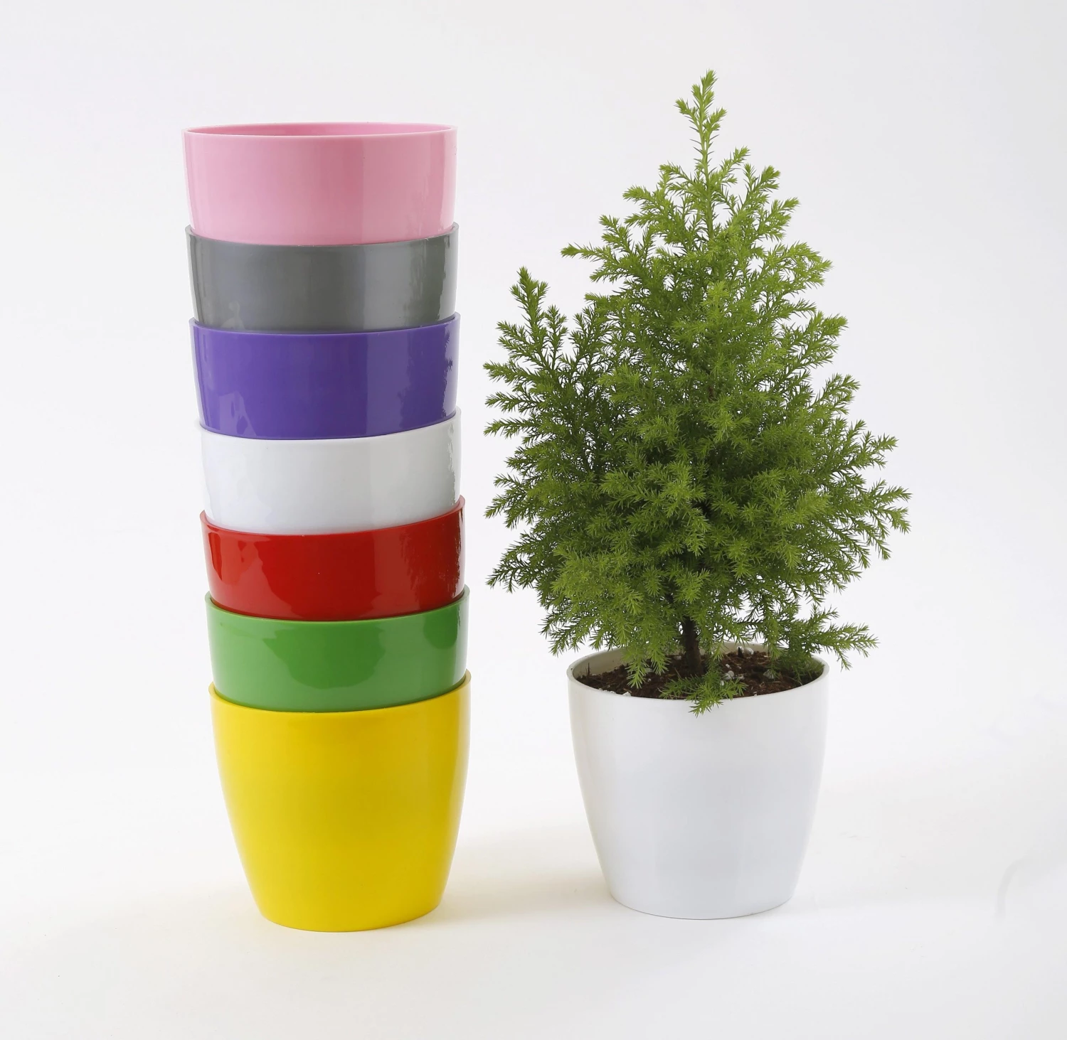 CGASPL 5 Inch Multi Singapore Pot (Pack Of 12) (125mm) Pot-Planters 4 CGASPL 5 Inch Multi Singapore Pot (Pack Of 12) (125mm) Pot-Planters