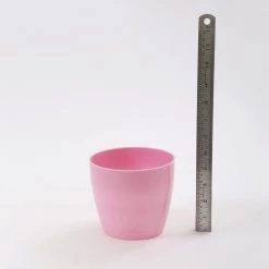 CGASPL Pot-Planters 5 Inch Pink Singapore Pot (125mm)