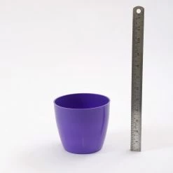 CGASPL 5 Inch Violet Singapore Pot (125mm)
