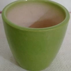 CGASPL 4" Round Ceramic Pot Parrot Green