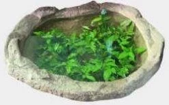 CGASPL Elliptical Pond 65 Liters Pot-Planters
