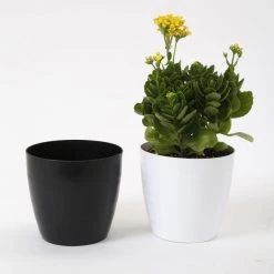 CGASPL 6 Inch Black Singapore Pot (160mm)