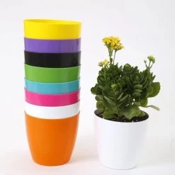 CGASPL 6 Inch Multi Singapore Pot (Pack Of 12) (160mm)