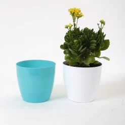 CGASPL 6 Inch Turq Singapore Pot (160mm)