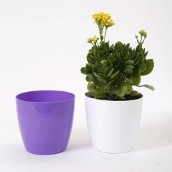 CGASPL 6 Inch Violet Singapore Pot (160mm) 13 CGASPL 6 Inch Violet Singapore Pot (160mm)