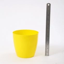 CGASPL 6 Inch Yellow Singapore Pot (160mm) Pot-Planters