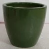 CGASPL 4" Round Ceramic Pot Turtle Green (Pack Of 3) Pot-Planters 1 CGASPL 4" Round Ceramic Pot Turtle Green (Pack Of 3) Pot-Planters