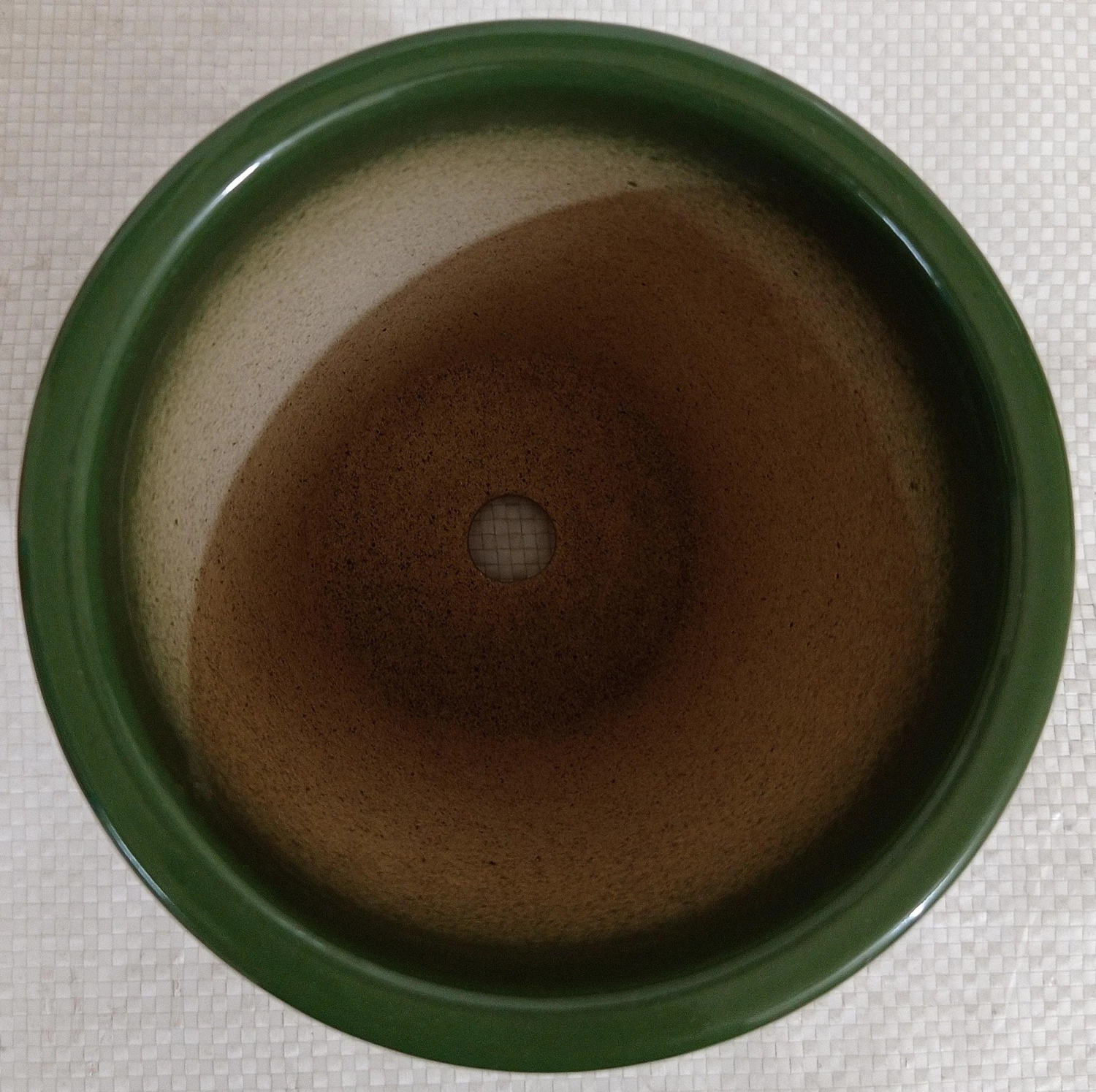 CGASPL 4" Round Ceramic Pot Turtle Green (Pack Of 3) Pot-Planters 5 CGASPL 4" Round Ceramic Pot Turtle Green (Pack Of 3) Pot-Planters