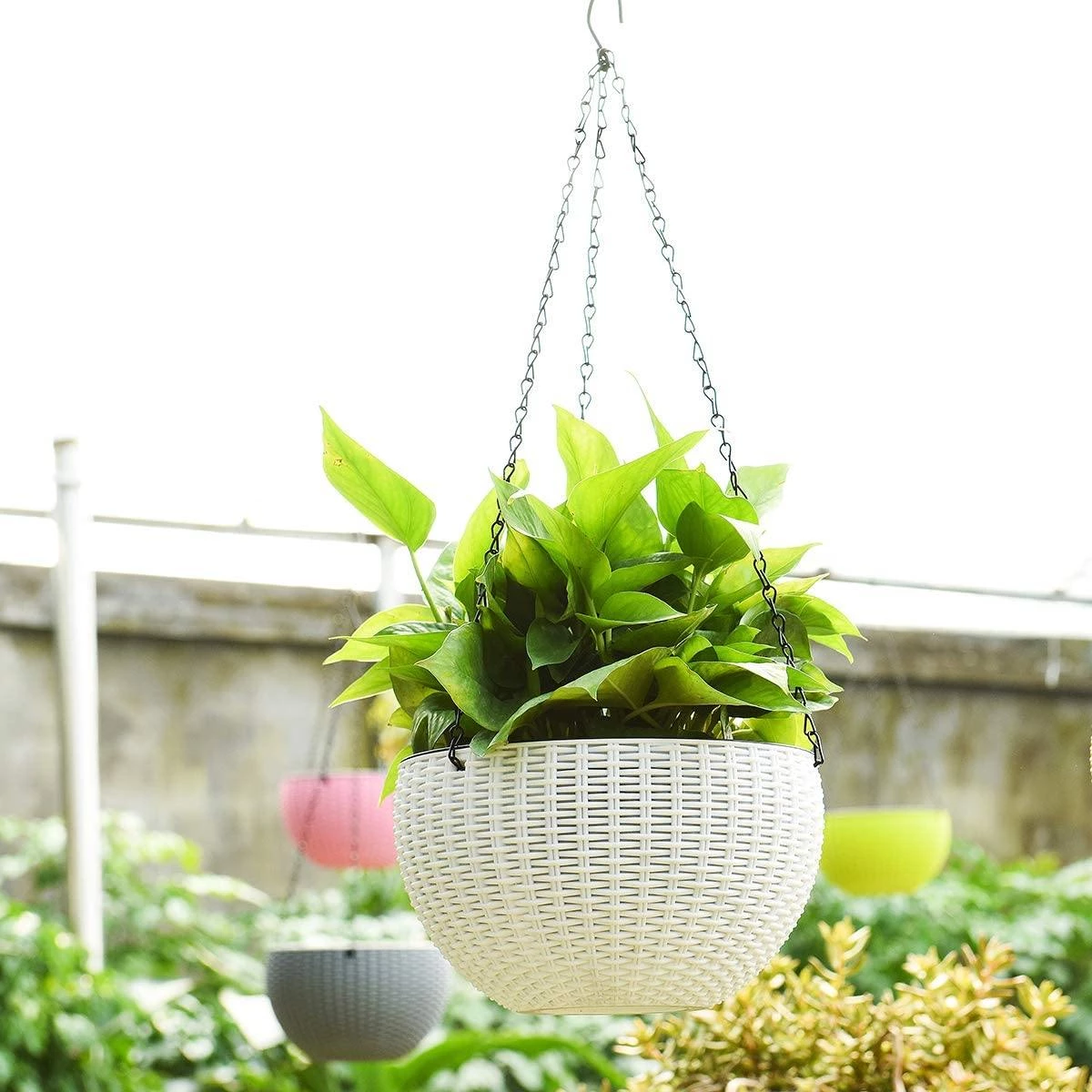 CGASPL 21 Cm White Rattan Hanging Planter With Chain Pot-Planters 6 CGASPL 21 Cm White Rattan Hanging Planter With Chain Pot-Planters