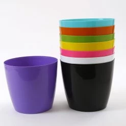 CGASPL 8.5 Inch Multi Singapore Pot (Pack Of 12) (220mm)