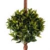 CGASPL Artificial Plants Artificial 2 Tea Leaf Ball Plant In Pot , Height -4 Ft