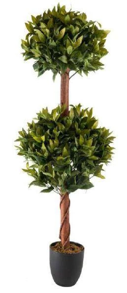 CGASPL Artificial Plants Artificial 2 Tea Leaf Ball Plant In Pot , Height -4 Ft 3 CGASPL Artificial Plants Artificial 2 Tea Leaf Ball Plant In Pot , Height -4 Ft