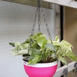 CGASPL Pot-Planters 20 Cm Double Color Big Hanging Pot (Multi) Qty - 3 Pots